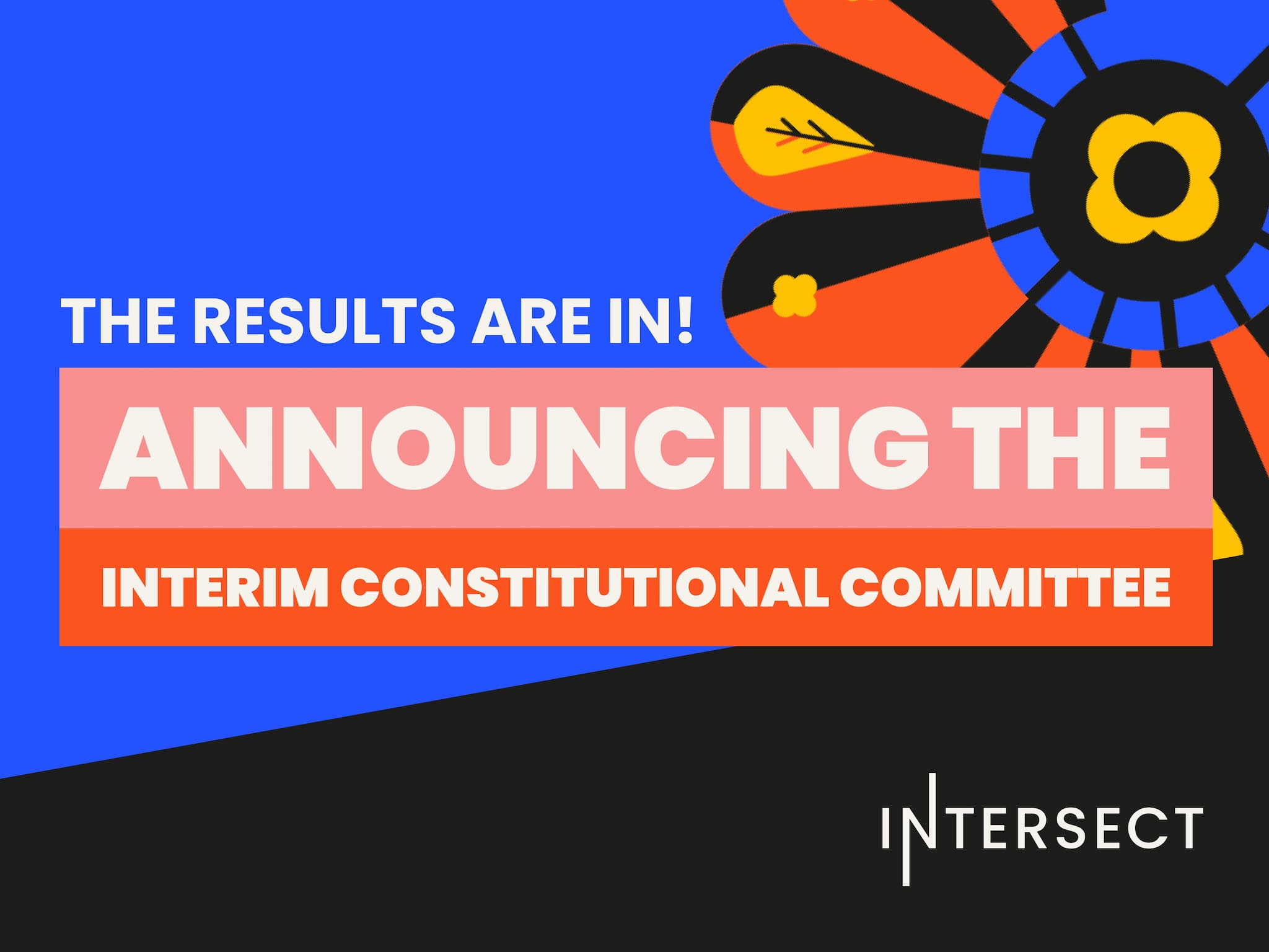 Meet the interim Constitutional Committee