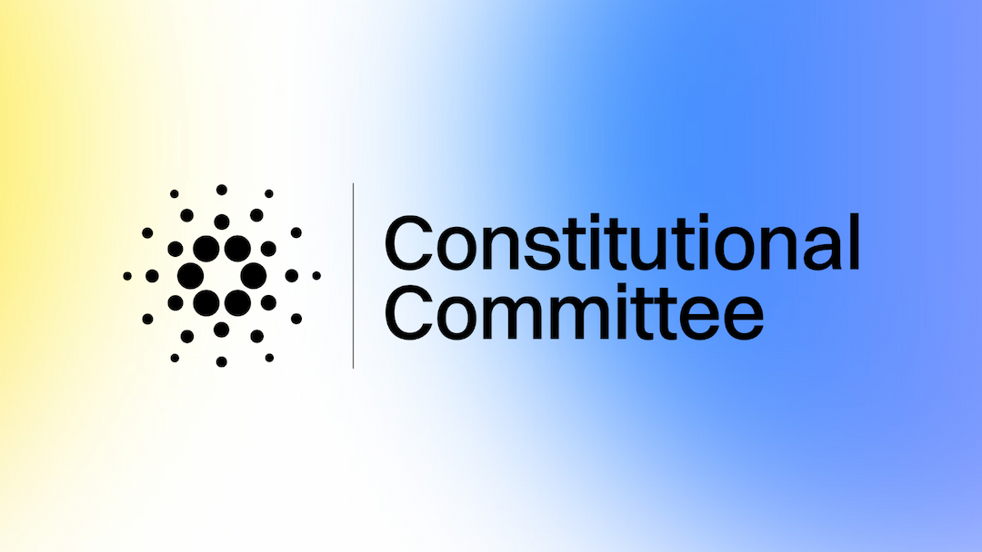 Constitutional Committee Elections 2025: What happened, who was selected, how it worked - and why it matters